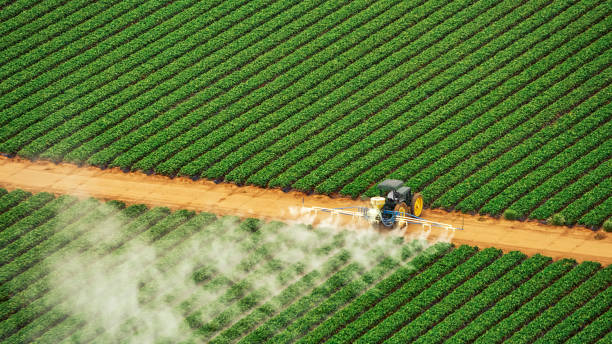 Best Pest Control Cost  in Dalton, PA